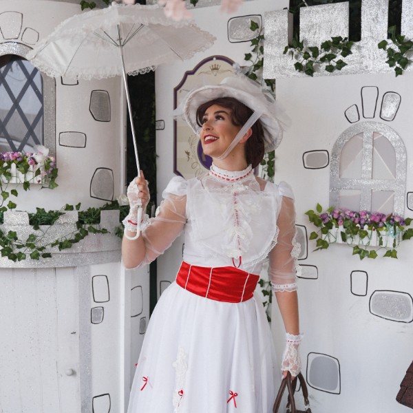 The Fashion Enthusiast